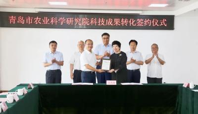 青岛市农业科学研究院：“从0到1”的坚守与突破