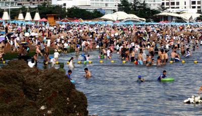 高温来袭  青岛浴场“下饺子”