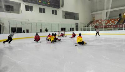 青岛带训的残奥冰球队代表山东勇夺全国残奥冰球锦标赛冠军