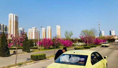 全市130家驾校全部上线“先培后付” 驾培纠纷投诉量骤降 