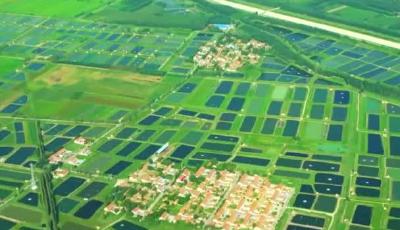 山东五级书记合力推进乡村振兴