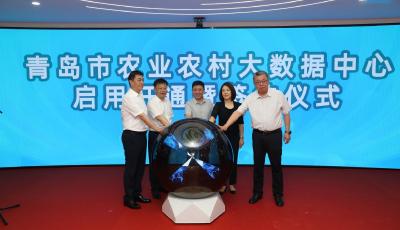 借“数”腾飞 乘“云”启航！青岛市农业农村大数据中心启用