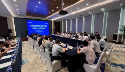 青岛市民营中小企业数字化转型及新兴产业对标提升活动在苏州举办