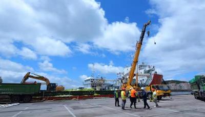 青岛浒苔处置工作取得明显成效