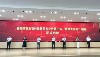 青島將“政策大禮包”點對點送到超6萬農(nóng)業(yè)經(jīng)營主體手中