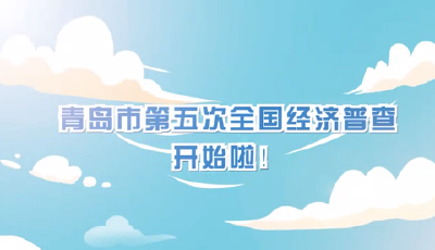 動畫丨查什么？怎么查？一起了解青島市第五次全國經濟普查