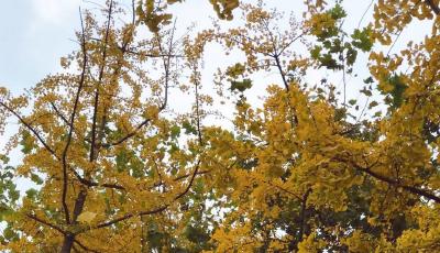 瑞士向我国返还5件流失文物艺术品