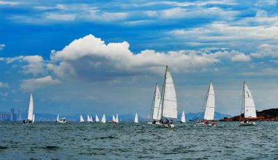 校外培训行政处罚专门立法，重点治理隐形变异培训