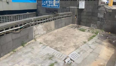美德信用-“文明青島隨手拍”解決游客問題