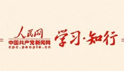 实干笃行丨四次考察调研 习近平阐释如何深入开展主题教育