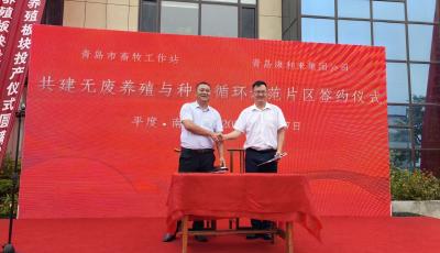 青岛将建无废养殖与种养循环示范片区