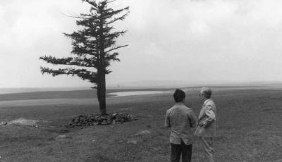 绿水青山带笑颜丨一棵松繁衍出一片“海”