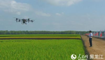 跟着总书记看中国｜仓廪实、科技兴 北大荒农业现代化大步向前  