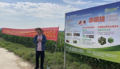 植保新科技为青岛绿色增粮行动赋能