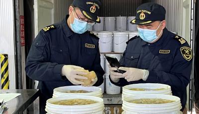 金砖合作驶入快车道 前7个月青岛对金砖国家进出口增长46.2%