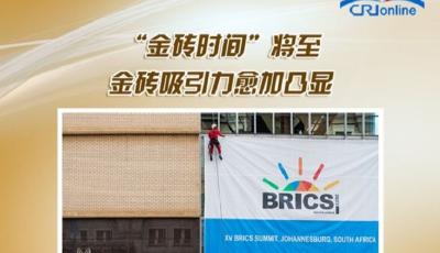【讲习所·中国与世界】“金砖时间”将至 金砖吸引力愈加凸显