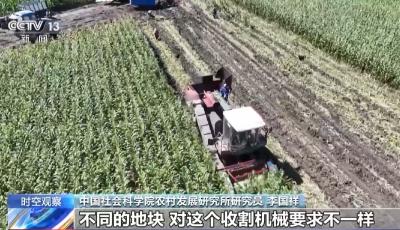 秋收季 如何减损增产保丰收？专家来支招→