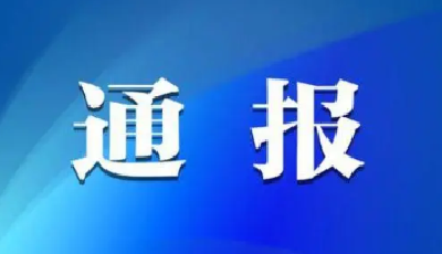 山东省纪委监委公开曝光5起由风及腐、风腐一体典型问题