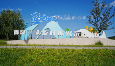 示范片区引领，这是青岛打造乡村振兴“齐鲁样板”的流量密码