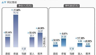 新規(guī)后行業(yè)分化：頭部助貸機構業(yè)績勁升 部分小行急速收縮