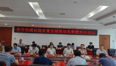 青岛市供销社高质量发展现场推进会暨培训班在即墨区举办