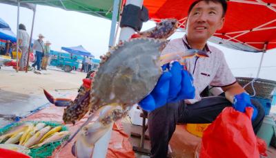 抢“鲜”！  开海首日渔港码头彻底沸腾