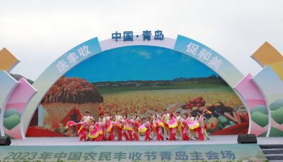 丰收和美粮仓满！青岛37项系列活动喜迎中国农民丰收节