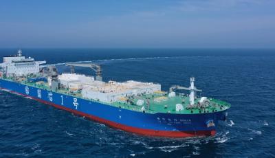 首个以青岛地标命名海产品  “青岛深海野游大黄鱼”斩获国家级殊荣