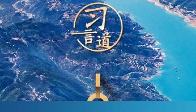 【开学第一课】习言道｜要像海绵吸水一样学习知识