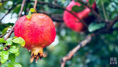 时政新闻眼丨从浙江到山东枣庄，习近平这一次考察重点强调了什么？