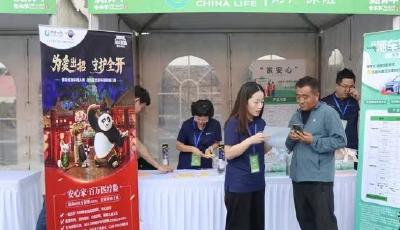 中国人寿财险青岛市分公司亮相青岛新青年音乐节 “家安心系列产品”获赞