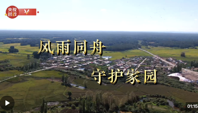 习近平黑龙江行丨风雨同舟 守护家园——走进哈尔滨尚志市老街基乡龙王庙村