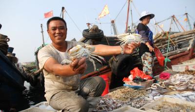 如何保证“海上粮仓”的可持续产出？专家：做好伏季休渔“后半篇”文章