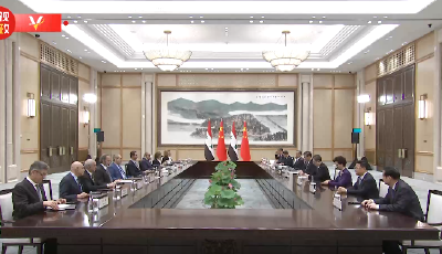 独家视频丨习近平会见叙利亚总统巴沙尔：建立中叙战略伙伴关系