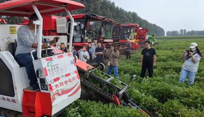 全程机械化助力花生增产增收 全国花生生产现场会在青岛举办