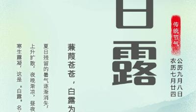 今日白露 | 露白秋凉，静候好个秋
