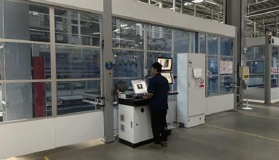 专精特新看中国丨山东威海：税惠助力“小巨人” 迸发“大能量”