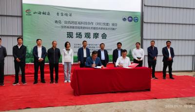 東西部科技協作繪新景 青島推廣技術解決定西尾菜產業難題