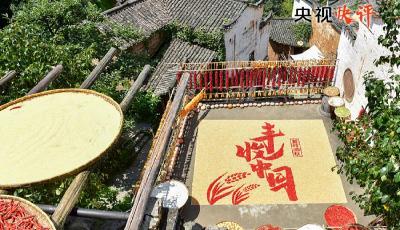 央视快评：让农民腰包越来越鼓、生活越来越美好——庆祝第六个“中国农民丰收节”