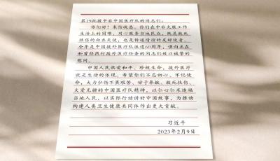 从“大写意”到“工笔画”丨中国医生在非洲