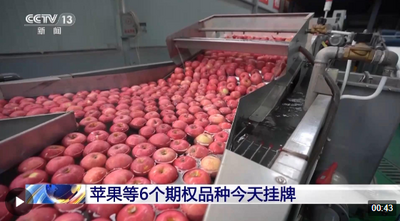 苹果、短纤、纯碱等6个期权品种今天在郑州商品交易所挂牌