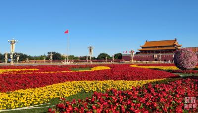 厚植爱国情 争做奋斗者