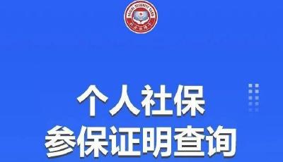 個人社保參保證明怎么查？去哪查？一文了解