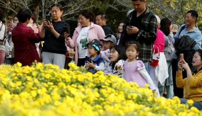 镜头直击：人山人海！中山公园再现“人从众”名场面
