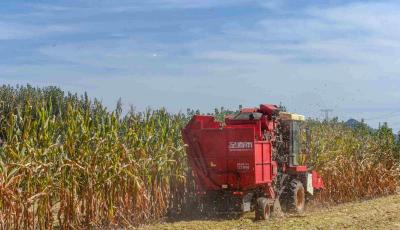 青岛胶州市：农机助力秋收秋种 金秋十月喜迎丰收 