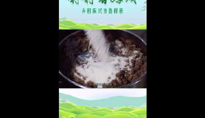 村村有好戏丨海边人家，奏响乡村振兴致富曲