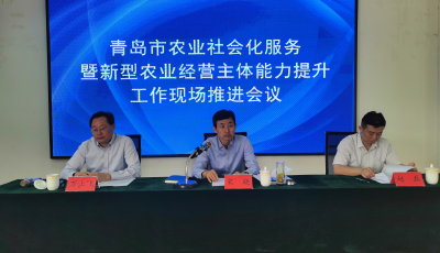青島市農(nóng)業(yè)社會(huì)化服務(wù)暨新型農(nóng)業(yè)經(jīng)營主體能力提升工作現(xiàn)場推進(jìn)會(huì)議召開