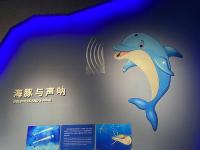 青岛科技馆国庆“大片”：展现“1+N”海洋特色新场景