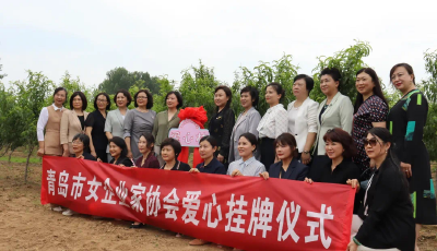 巾帼英姿展风采|青岛女企协激活“红色引擎”：“巾帼+”全面起势