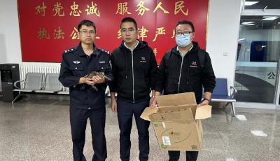 青岛市公安局海岸警察支队唐岛湾派出所救助国家三有保护动物  